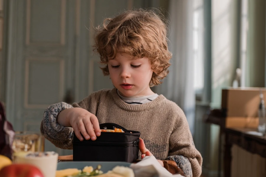 Sectioned Snack Tray with Cover and Handle
